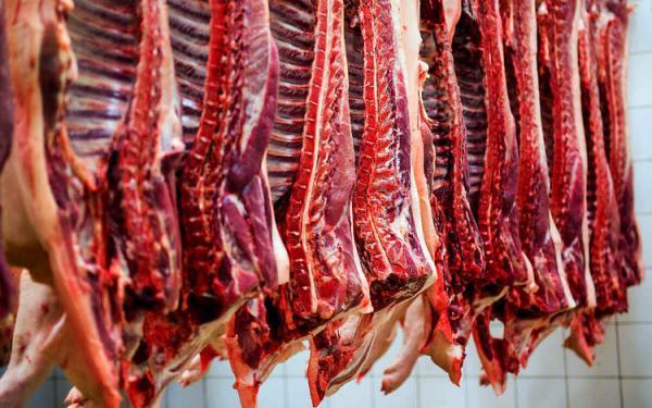 کاهش 40 درصدی مصرف گوشت قرمز در کشور