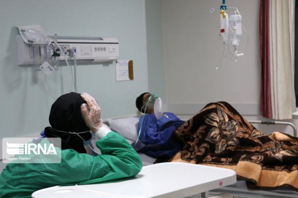 خبرنگاران 31 مبتلا به کرونا در مرکز درمانی دهلران بستری هستند